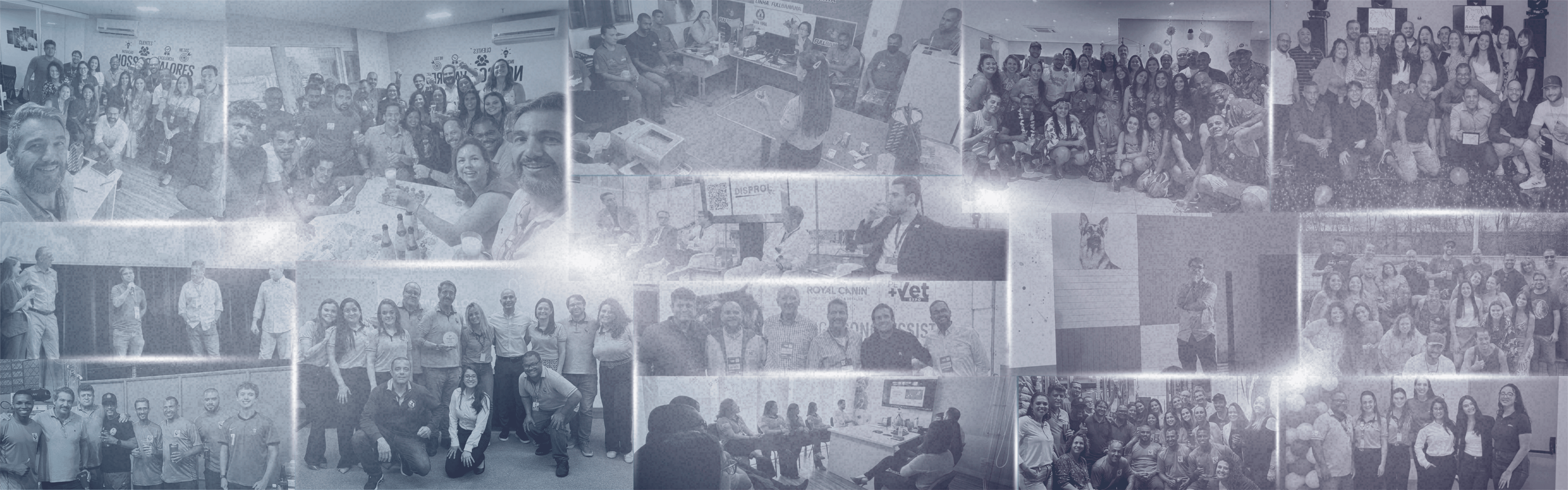 Animal Log - Distribuidora de produtos pet